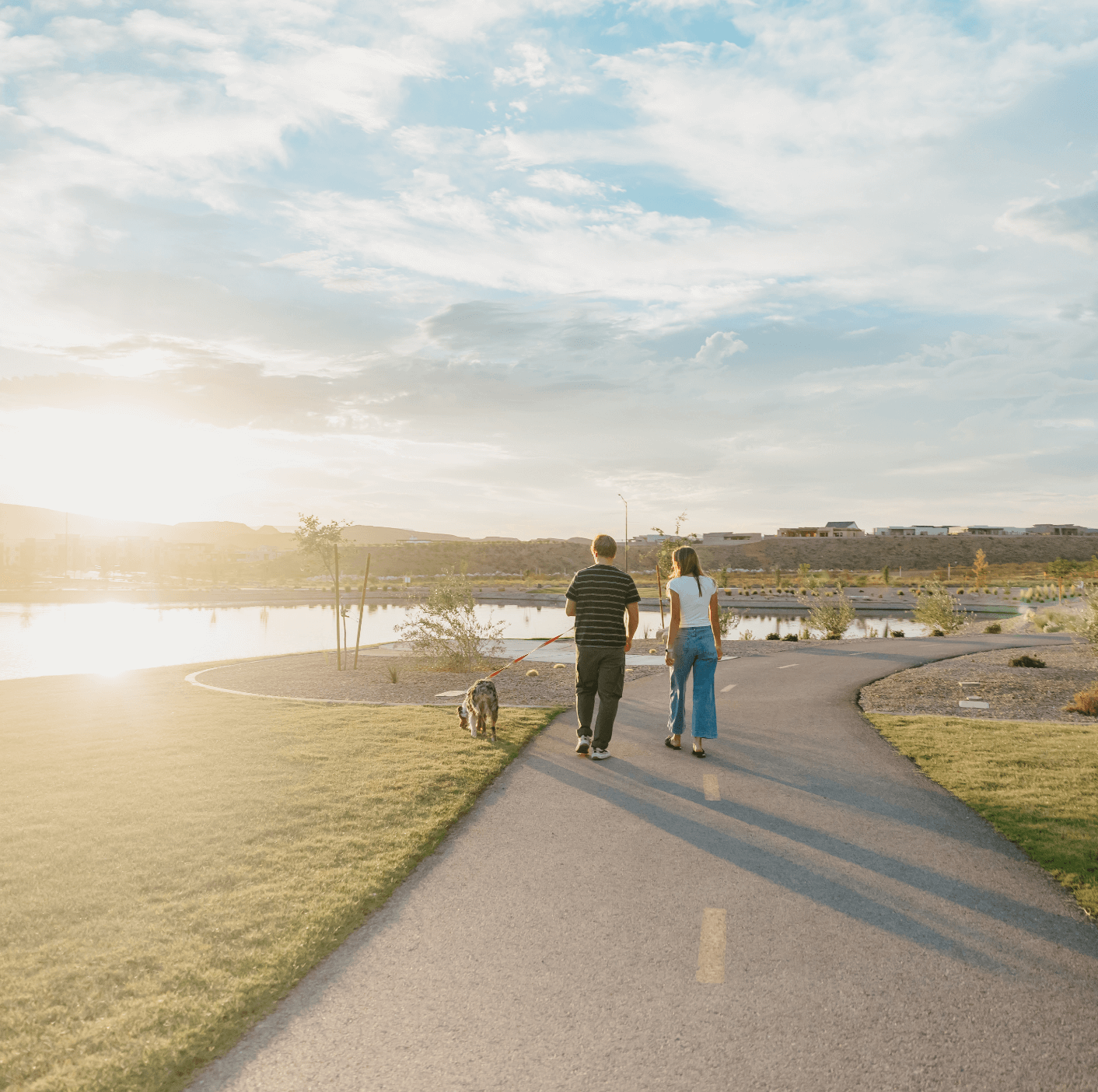 couple walking dog through desert color community
