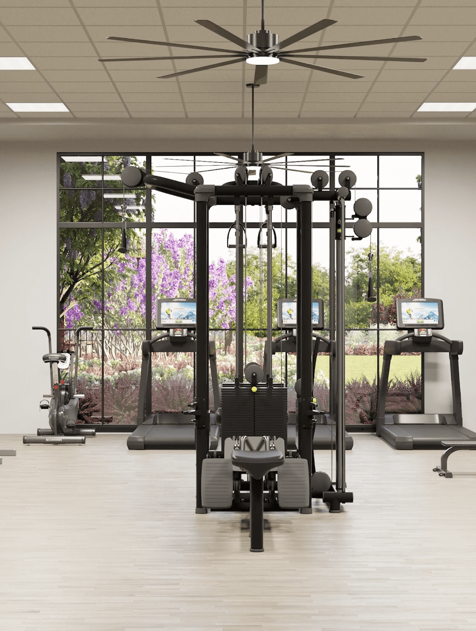 gym at desert color