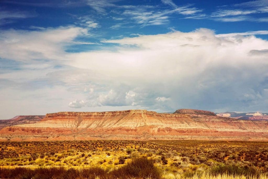 Desert Color Landscape
