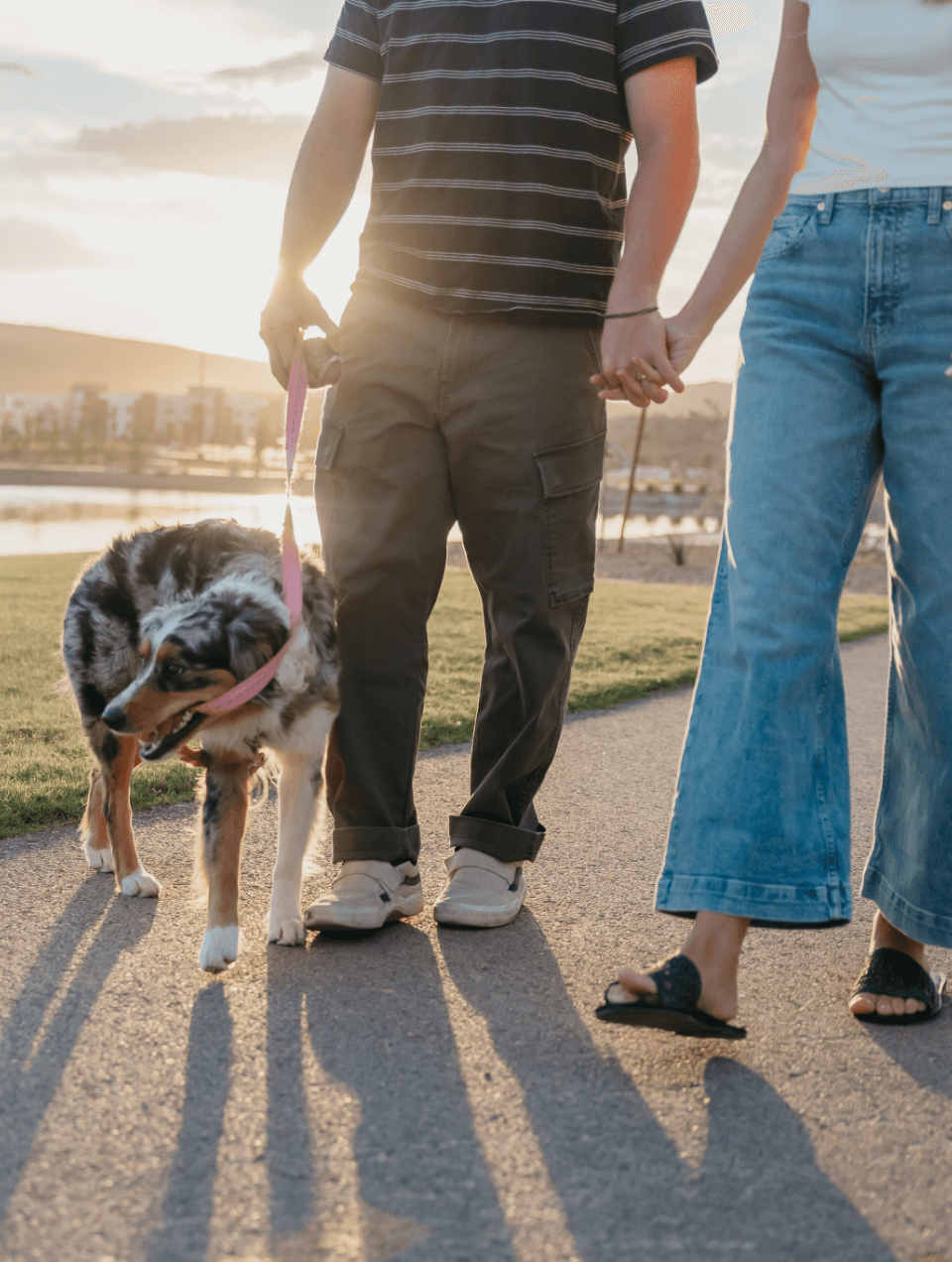 couple and their dog