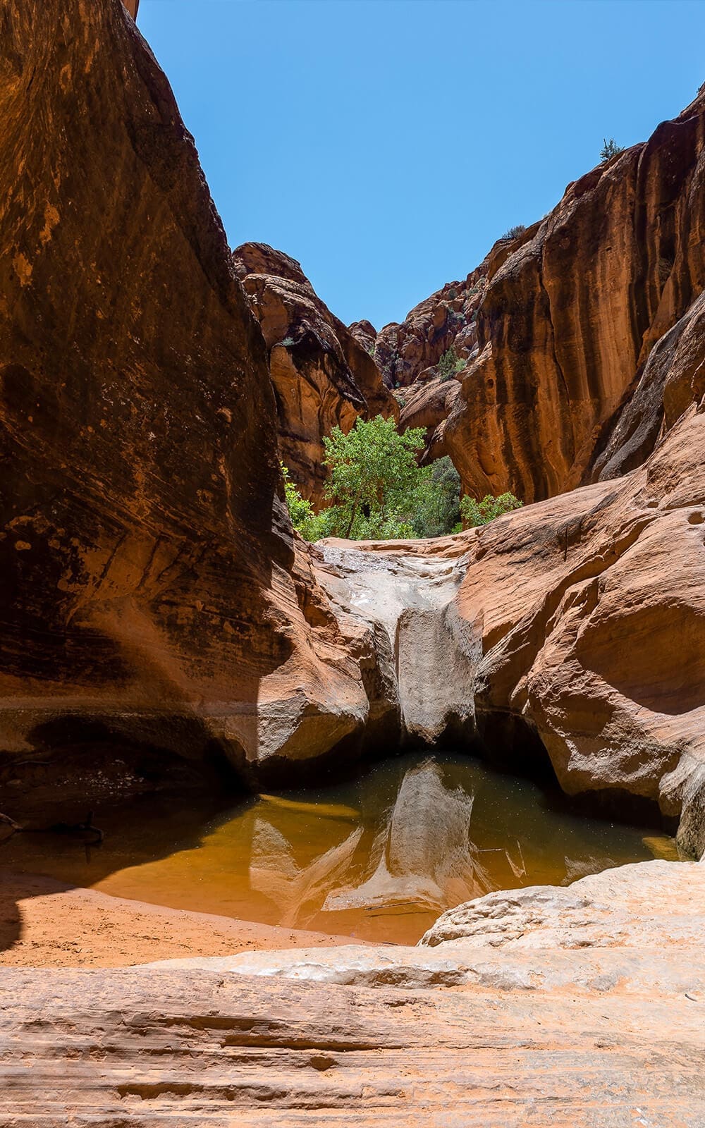 person hiking at a national park in southern utah