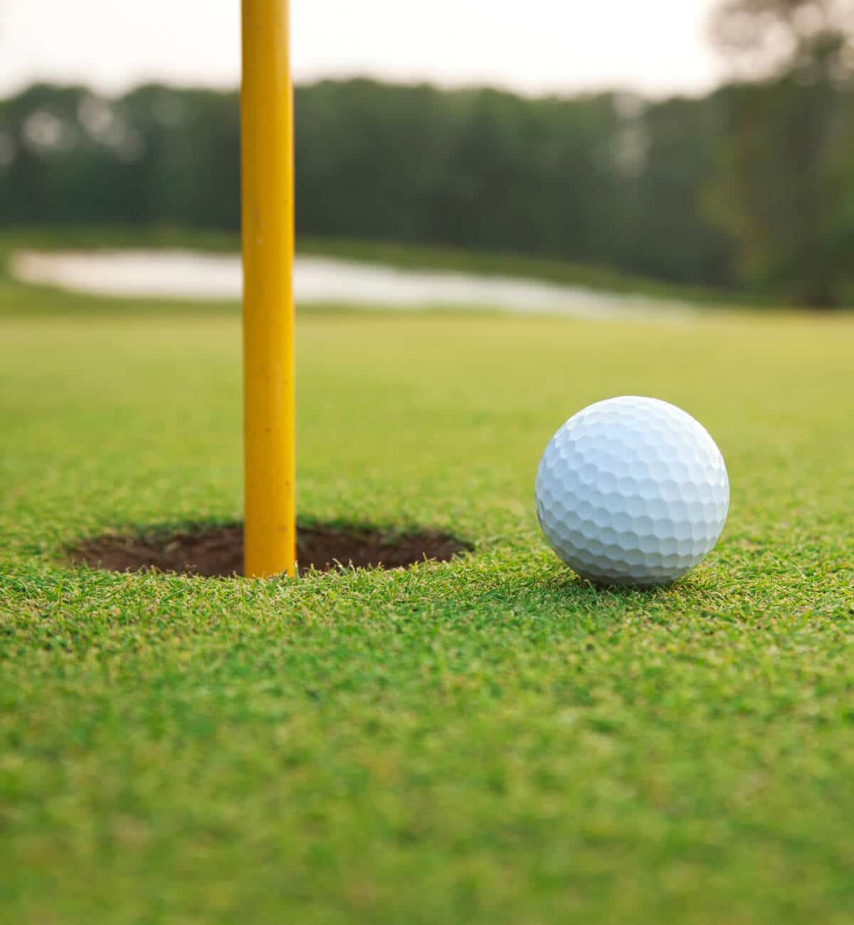 golf ball next to the hole